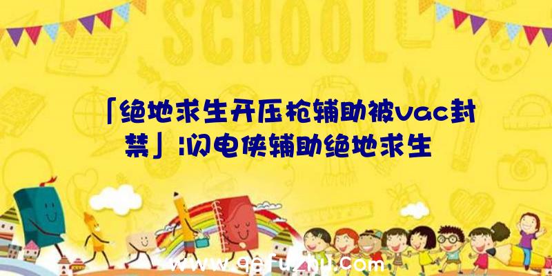 「绝地求生开压枪辅助被vac封禁」|闪电侠辅助绝地求生